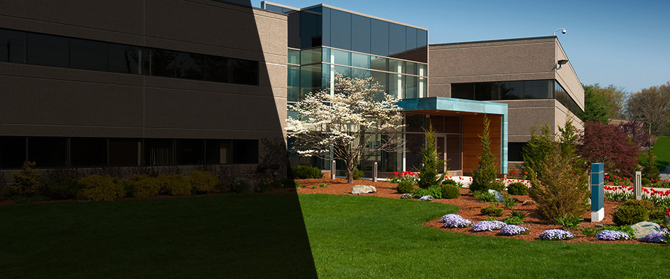 Chesterland Landscapers