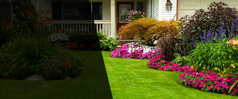 Chesterland Landscapers