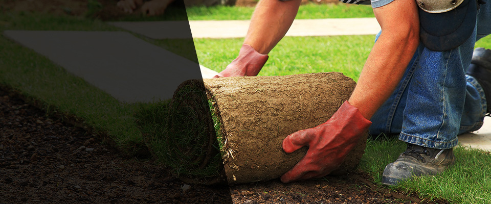 Chesterland Landscapers